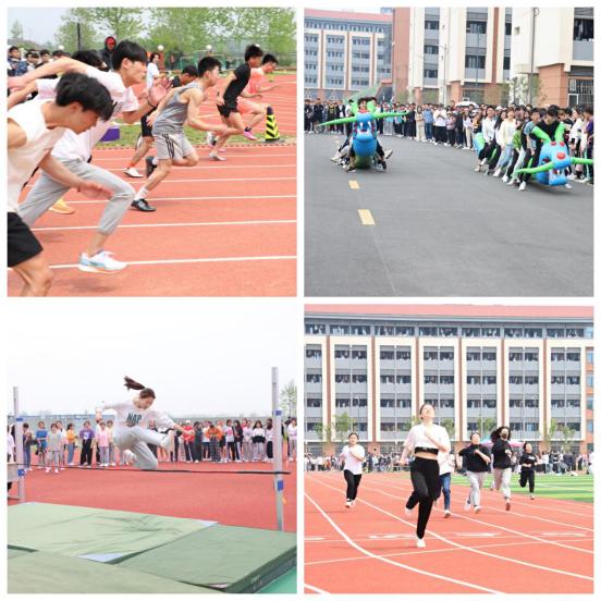 dp��������(�й�)�ٷ���վ