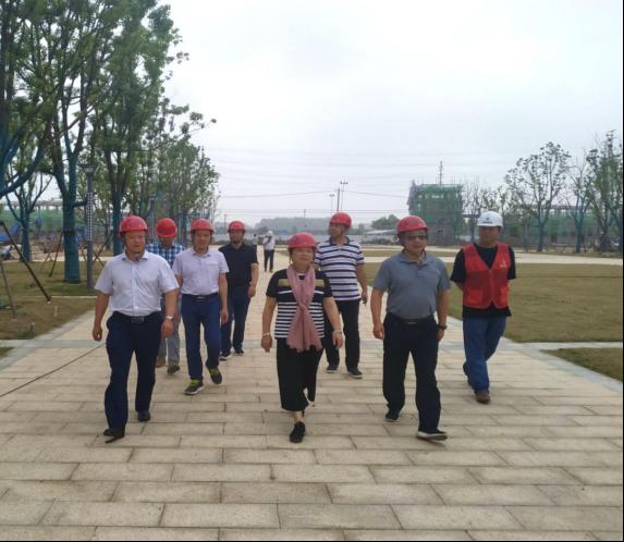 dp��������(�й�)�ٷ���վ