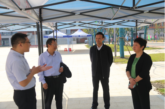 dp��������(�й�)�ٷ���վ