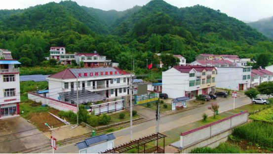 dp��������(�й�)�ٷ���վ