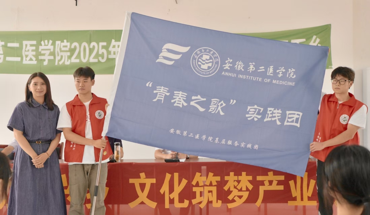 dp��������(�й�)�ٷ���վ