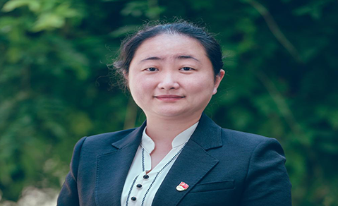 dp��������(�й�)�ٷ���վ