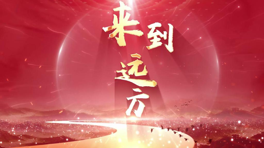 dp��������(�й�)�ٷ���վ