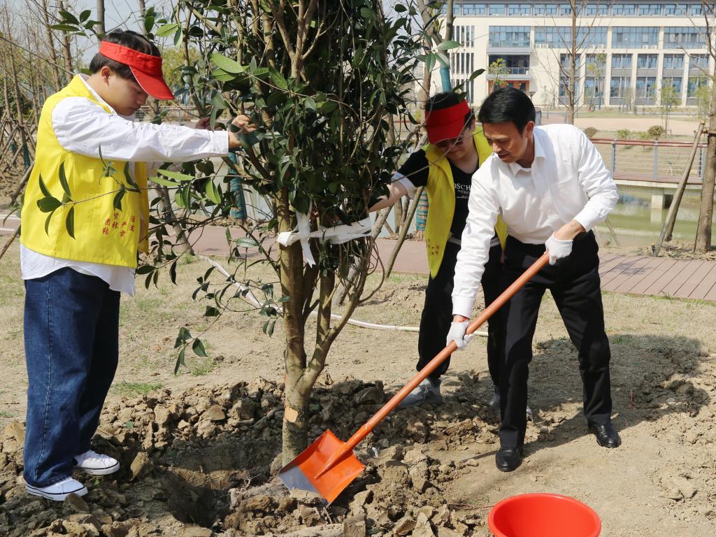 dp��������(�й�)�ٷ���վ