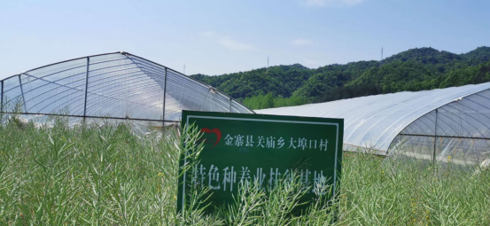 dp��������(�й�)�ٷ���վ