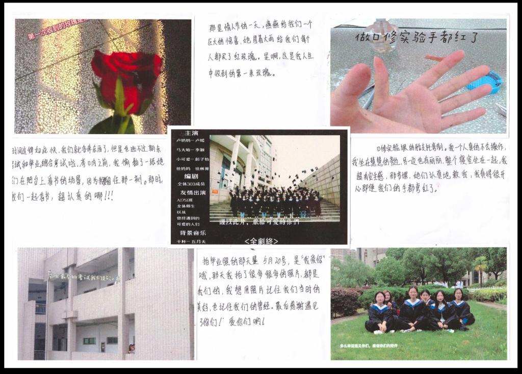 dp��������(�й�)�ٷ���վ