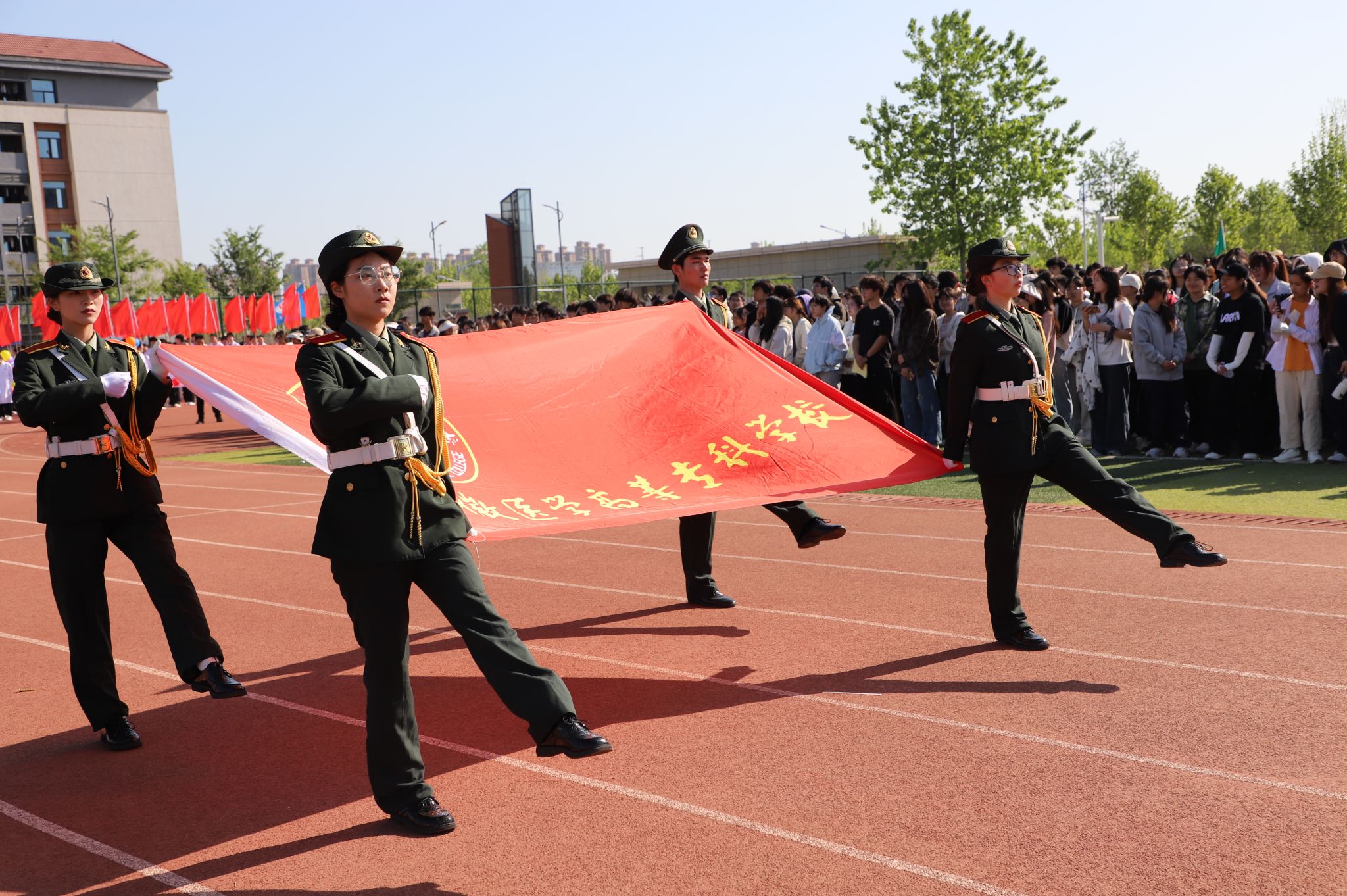 dp��������(�й�)�ٷ���վ