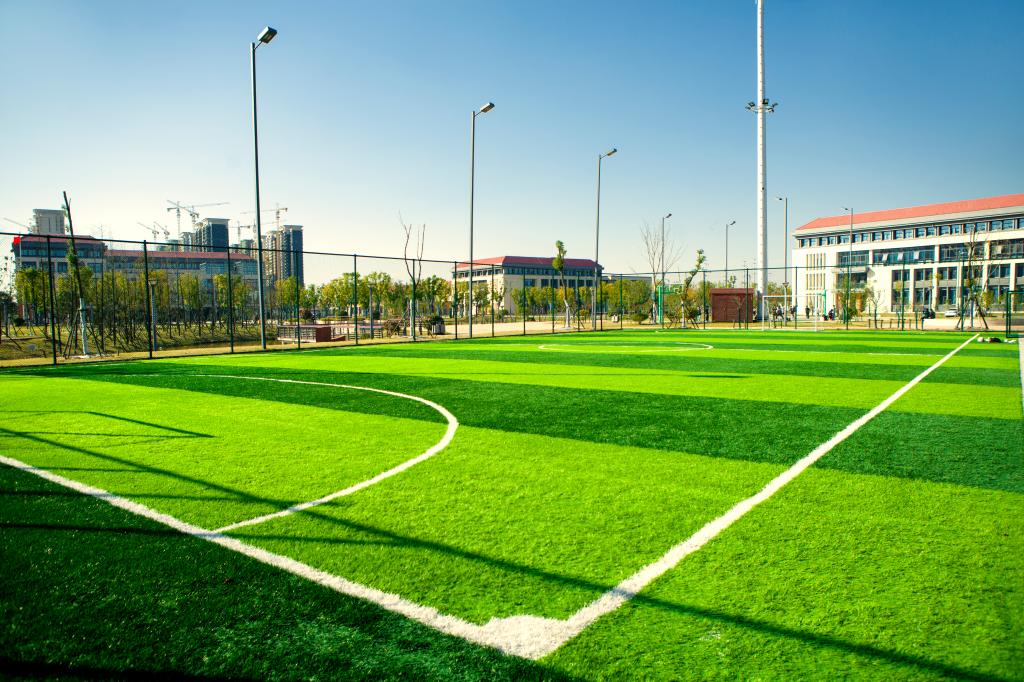 dp��������(�й�)�ٷ���վ