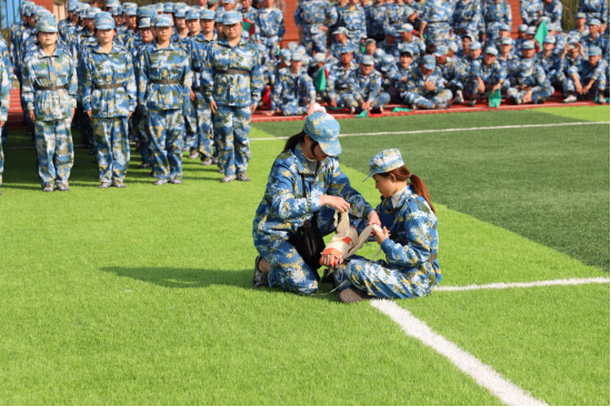 dp��������(�й�)�ٷ���վ